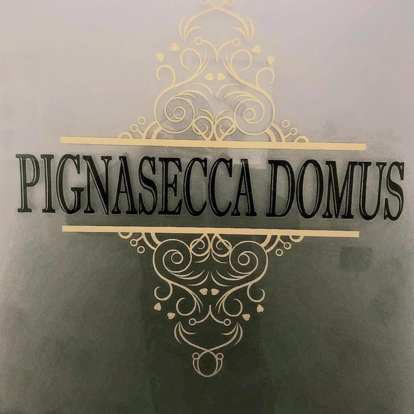 Pignasecca Domus Nápoles Exterior foto